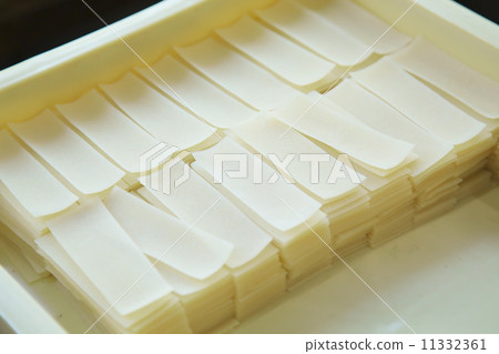 Yatsuhashi Bridge 11332361