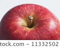 蘋果  11332502