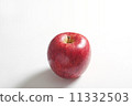 蘋果  11332503