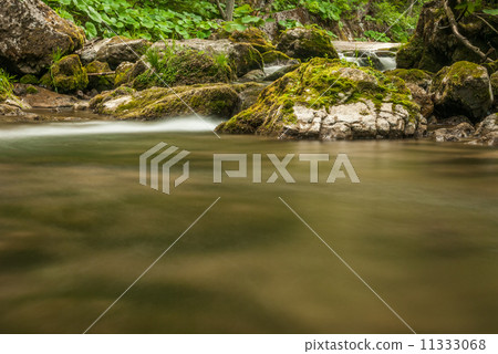 creek, rocks and vegetation creek, rocks and vegetation 11333068