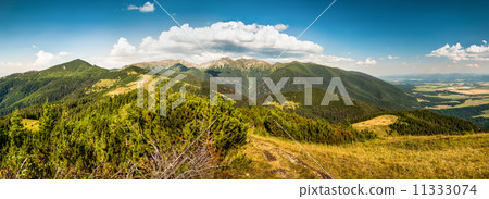 landscape landscape 11333074