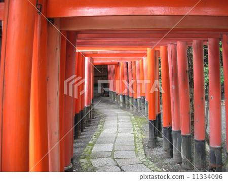 Torii torii of Inari shrine 11334096