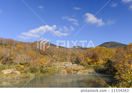 Hakkoda監獄的秋葉 11334263