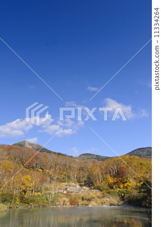 Hakkoda監獄的秋葉 Hakkoda監獄的秋葉 11334264