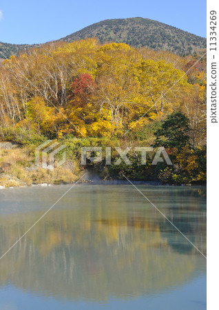 Hakkoda監獄的秋葉 Hakkoda監獄的秋葉 11334269