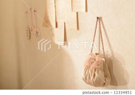 Pink bag on the wall 11334951