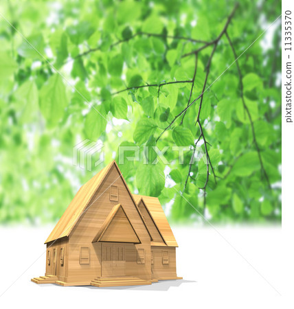 凹下去的風暴的木單身家庭的房子 11335370