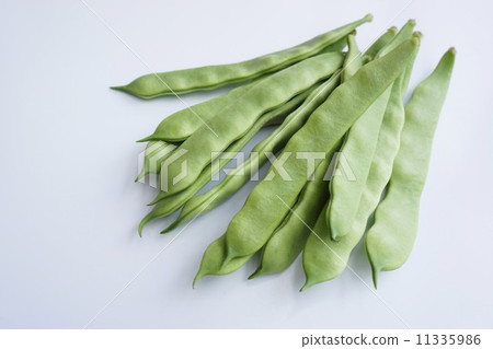 Morocco Morocco 11335986