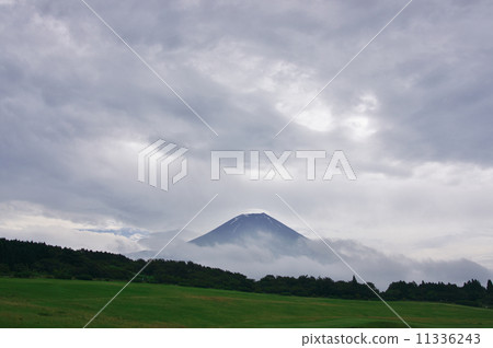 Mt. Fuji during the rainy season 11336243