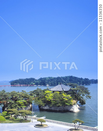 松島Gojito 松島Gojito 11336350