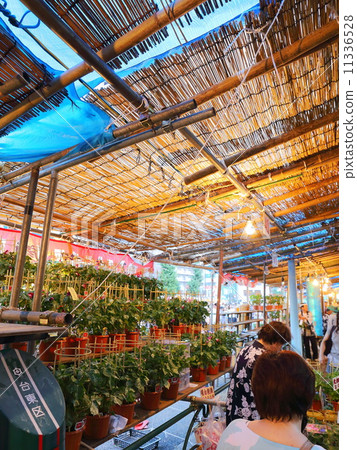 Iriya morning glory lined in morning glory city 11336528