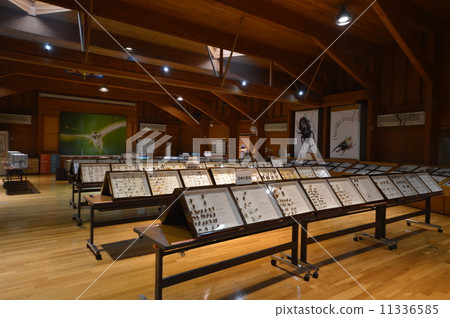 Omurasaki Center Nagasaka Omurasaki Center Nagasaka 11336585