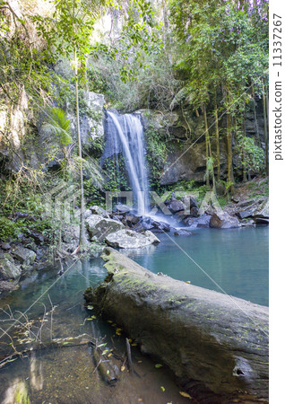 Curtis Falls 11337267