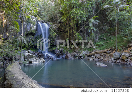 Curtis Falls 11337268