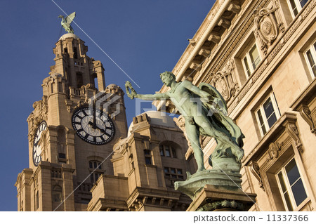The Liver Building - Liverpool - England The Liver Building - Liverpool - England 11337366