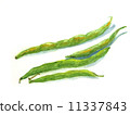 綠豆 11337843