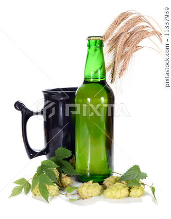 beer and hop beer and hop 11337939