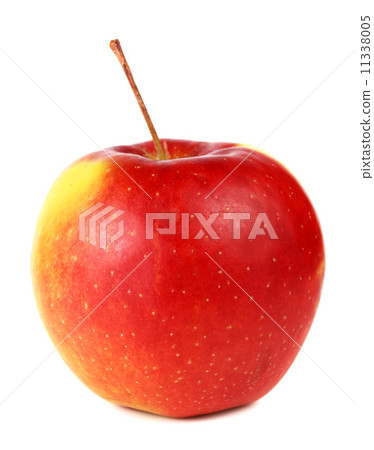 apple apple 11338005