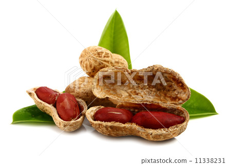 peanut peanut 11338231
