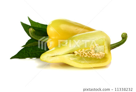 yellow pepper and green leaf yellow pepper and green leaf 11338232
