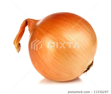 onion onion 11338297