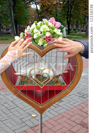 hands of groom and fiancee on cage with pigeons hands of groom and fiancee on cage with pigeons 11338336