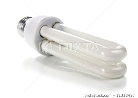lightbulb 11338455
