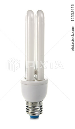 lightbulb 11338456
