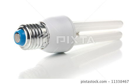 lightbulb 11338467