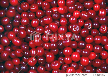 cherry background 11338487