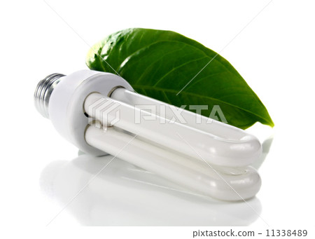 lightbulb and green leaf lightbulb and green leaf 11338489