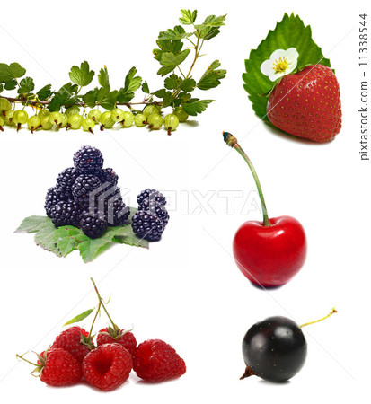 berries berries 11338544
