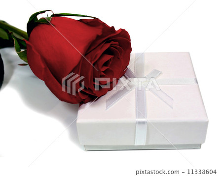 white box for gifts and rose white box for gifts and rose 11338604