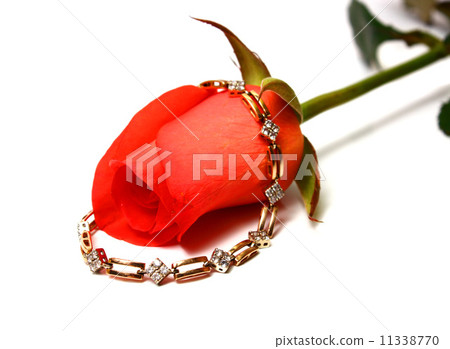 rose and gold bangle 11338770