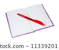 notebook with a red pen 11339201