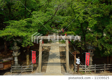 Walk Ueda · Sanada Shrine 11339325