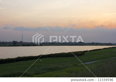 Evening of the Edogawa River 11339596