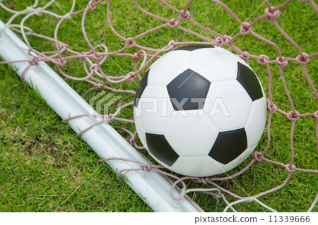 Soccer ball in the goal after shooted Soccer ball in the goal after shooted 11339666