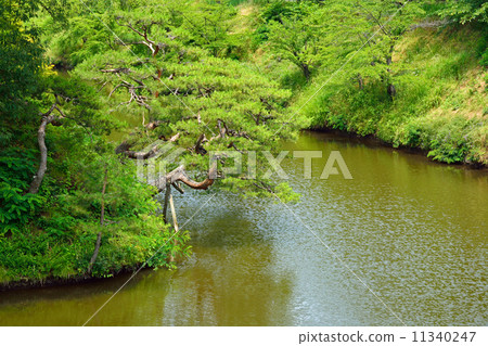 Walking Ueda · Uedajo Honmaru earth base and moat Walking Ueda · Uedajo Honmaru earth base and moat 11340247