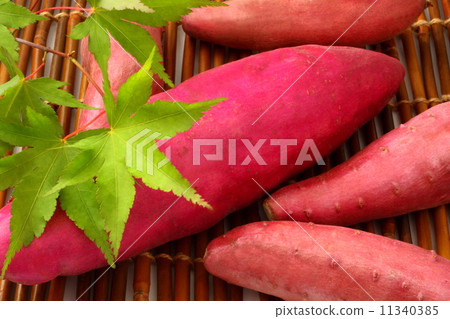 Sweet potato autumn vegetables Sweet potato autumn vegetables 11340385