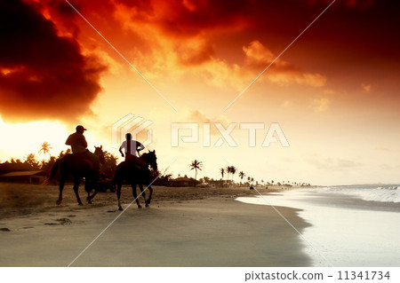 ocean sunrice 11341734