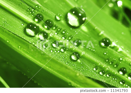 big water drop 11341793