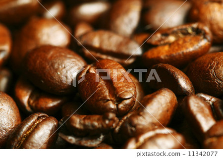 coffee beans 11342077