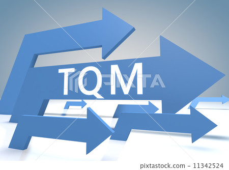 Total Quality Management Total Quality Management 11342524