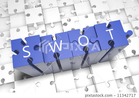 SWOT Puzzle 11342717