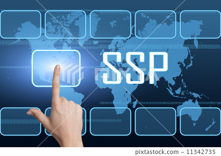 Supply Side Platform 11342735