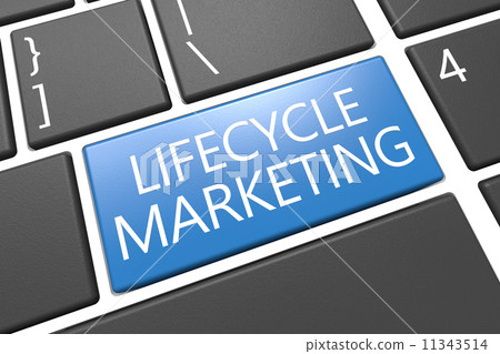Lifecycle Marketing Lifecycle Marketing 11343514