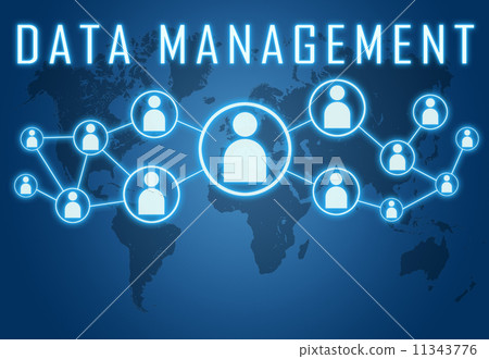 Data Management 11343776
