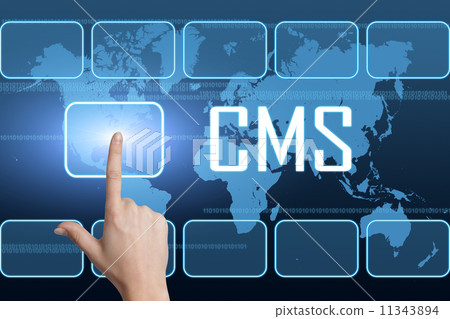 Content Management System 11343894