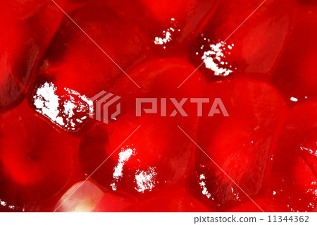 pomegranate 11344362